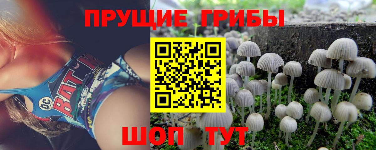 Галлюциногенные грибы MAGIC MUSHROOMS  Вход с VPN  Комсомольск-на-Амуре  цены   Псилоцибиновые грибы Magic Shrooms 