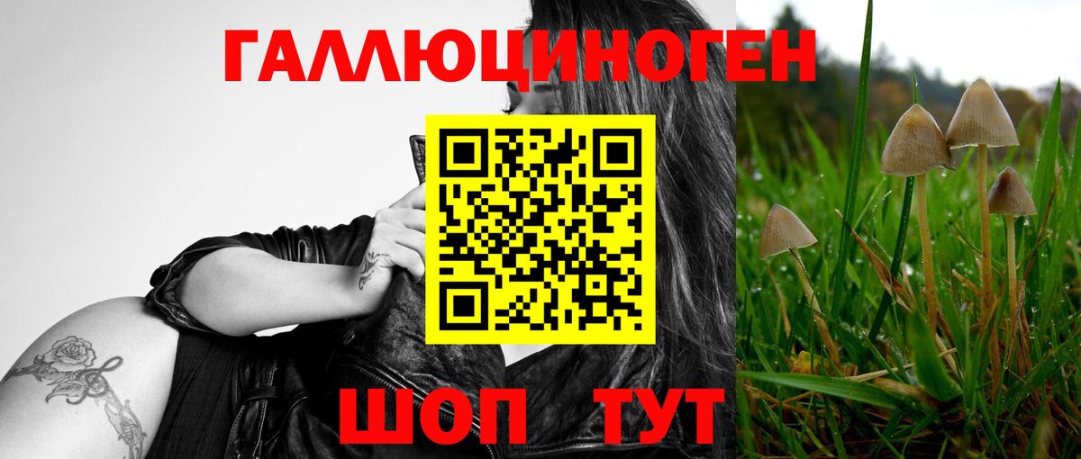 Псилоцибиновые грибы мухоморы Комсомольск-на-Амуре